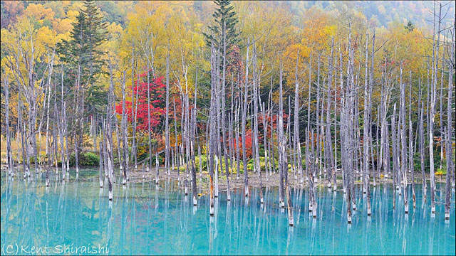 bluepond_autumn.jpg